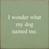 I Wonder What My Dog Named Me