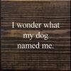 I Wonder What My Dog Named Me